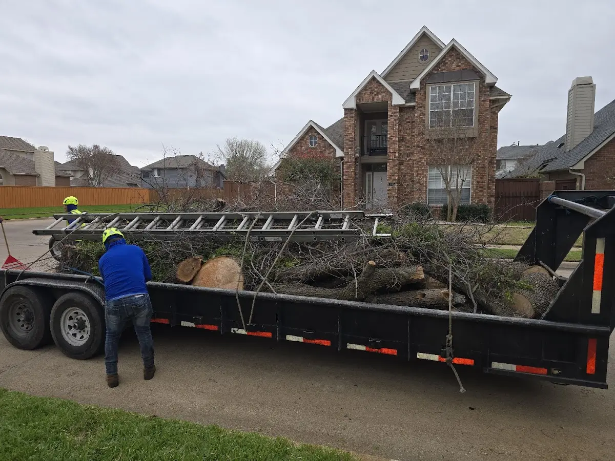 Expert Tree Pest Control with proper safety equipment in Haralson